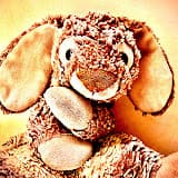 Click the bunny!